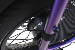 Aima Big Sur Cargo Ebike