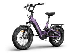Himiway D5 2.0 20" eBike - 