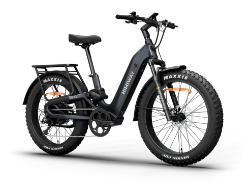 Himiway D5 2.0 ST eBike  - D5 2.0 Step Through