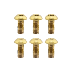 BRAKE PART OR8 DISC BOLTS M5x10 TORX GD PKof6 