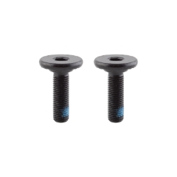 CRANKARM RANT BANGIN 8 REP SPINDLE BOLT M8x1mm PAIR 