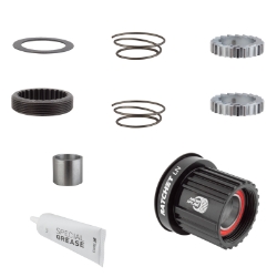 HUB CASS BODY DT UPGRADE KIT 3-PAWL TO RATCHET LN ALY 18T MICROSPLINE 