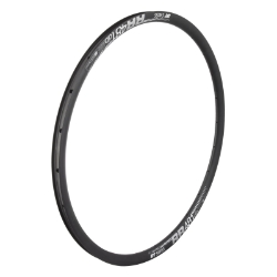 RIM DT 29 622x22 RR481 24 BK DISC TBLS 