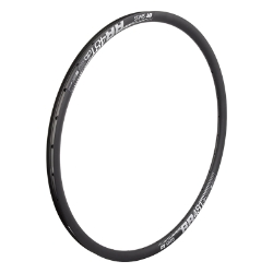 RIM DT 29 622x22 RR481 32 BK DISC  TBLS 