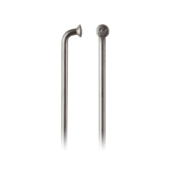 SPOKE BULK DT CHAMP SL 2.0 283 w/oNIPL 