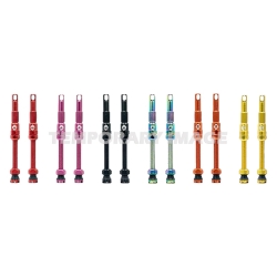 VALVE TUBELESS TRU-TENSION 44mm FILLFAST GD PR 