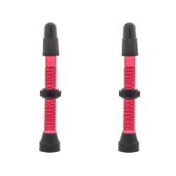 VALVE TUBELESS WTB PV 46mm ALY RD TCS 