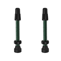 VALVE TUBELESS WTB PV 46mm ALY GN TCS 