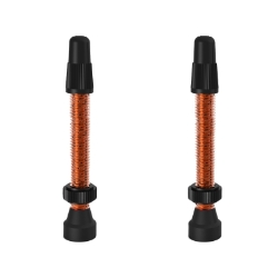 VALVE TUBELESS WTB PV 46mm ALY OR TCS 