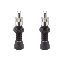 VALVE TUBELESS AN ALY SV 32mm BK 
